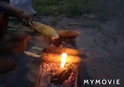 Penjual Jagung Bakar Terdekat